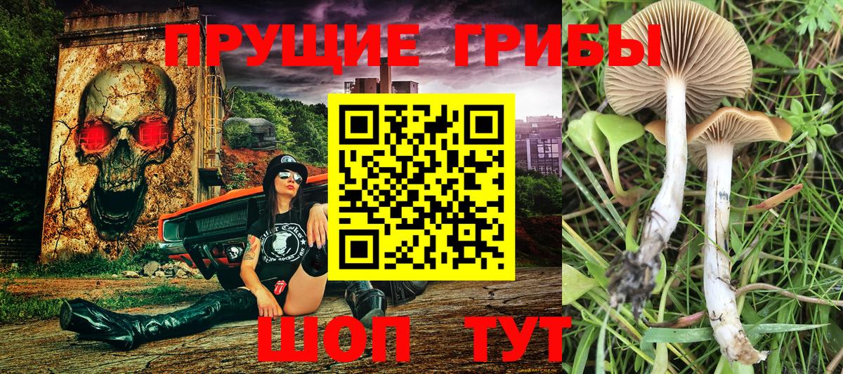 Галлюциногенные грибы Magic Shrooms  Вход с VPN  купить  цена  Псилоцибиновые грибы Psilocybine cubensis  Первоуральск 